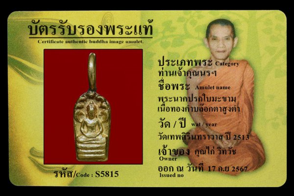 พระนาคปรกใบมะขาม เนื้อทองคำบล๊อกตาสูงตำ