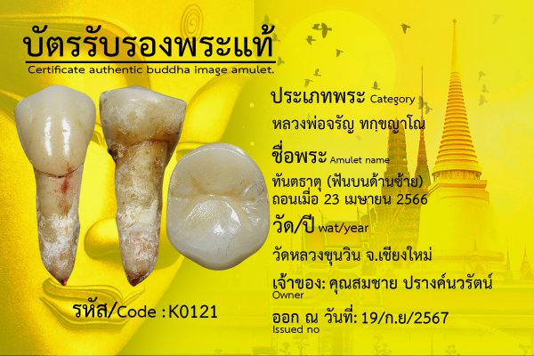 ทันตธาตุ (ฟันบนด้านซ้าย) ถอนเมื่อ 23 เมษายน 2566